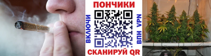 Купить  Лыткарино  Конопля сатива 